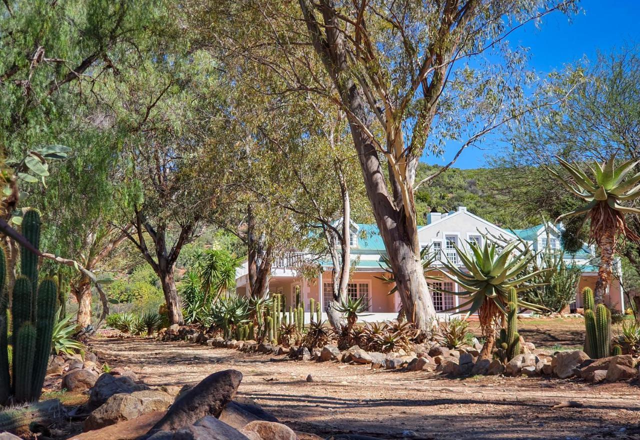 Berluda Farmhouse And Cottages Oudtshoorn Exterior photo